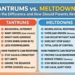 tantrums vs meltdowns